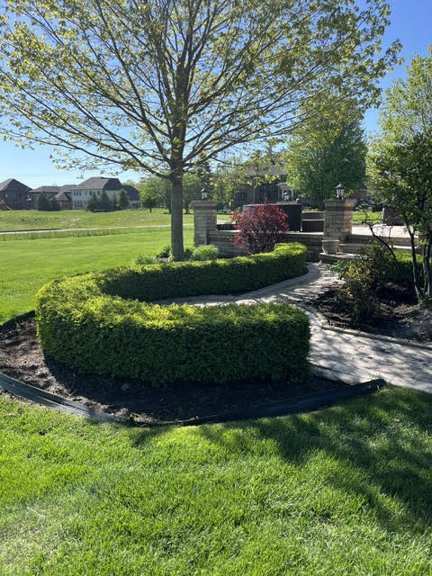 Before transformation